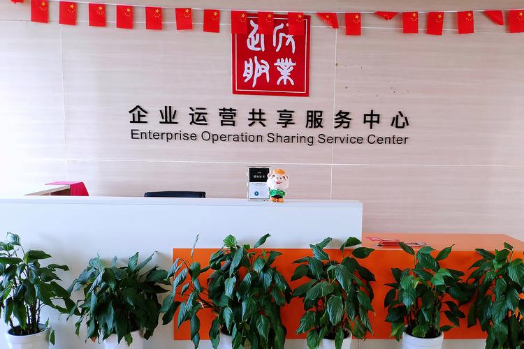 计算机系统集成与电子信息技术 技术转让与咨询服务的价值探索